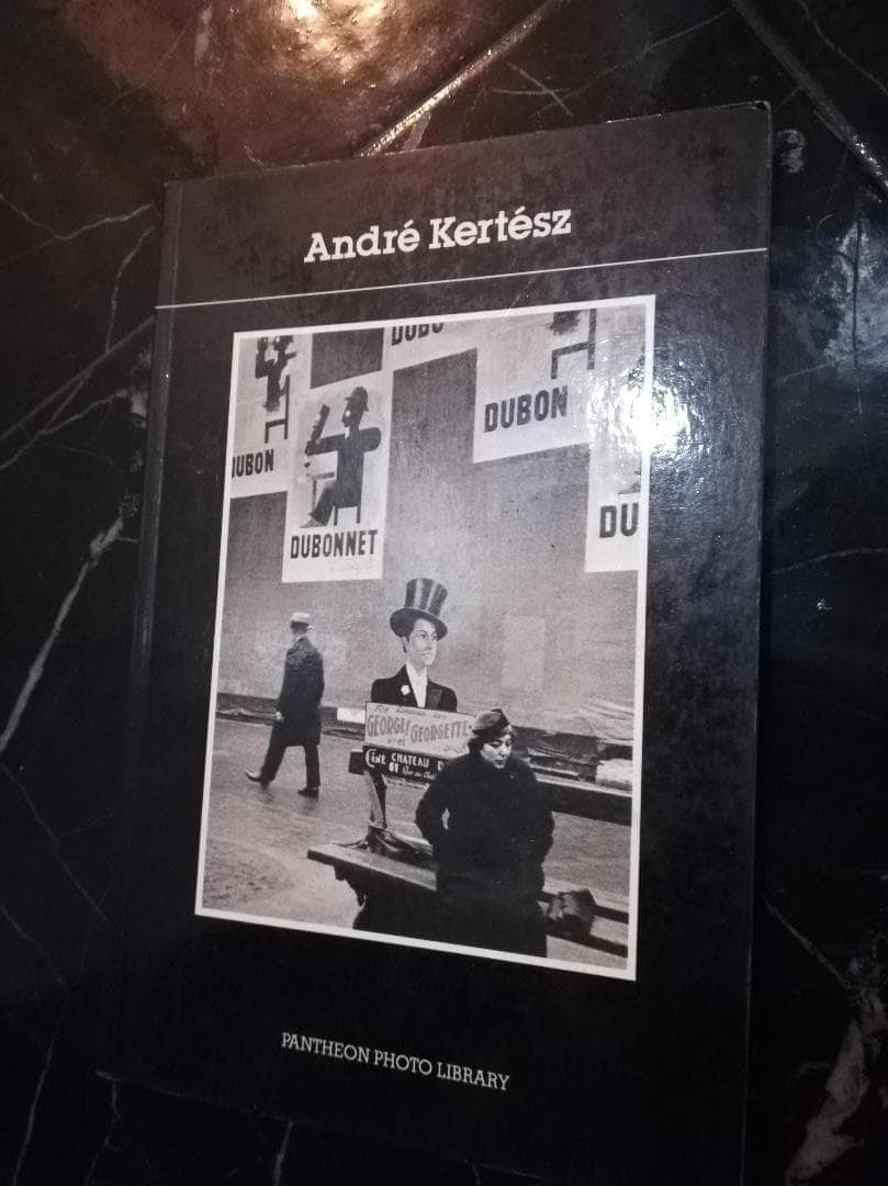 アンドレ・ケルテス Andre Kertesz 写真集 洋書 ハンガリーの写真家