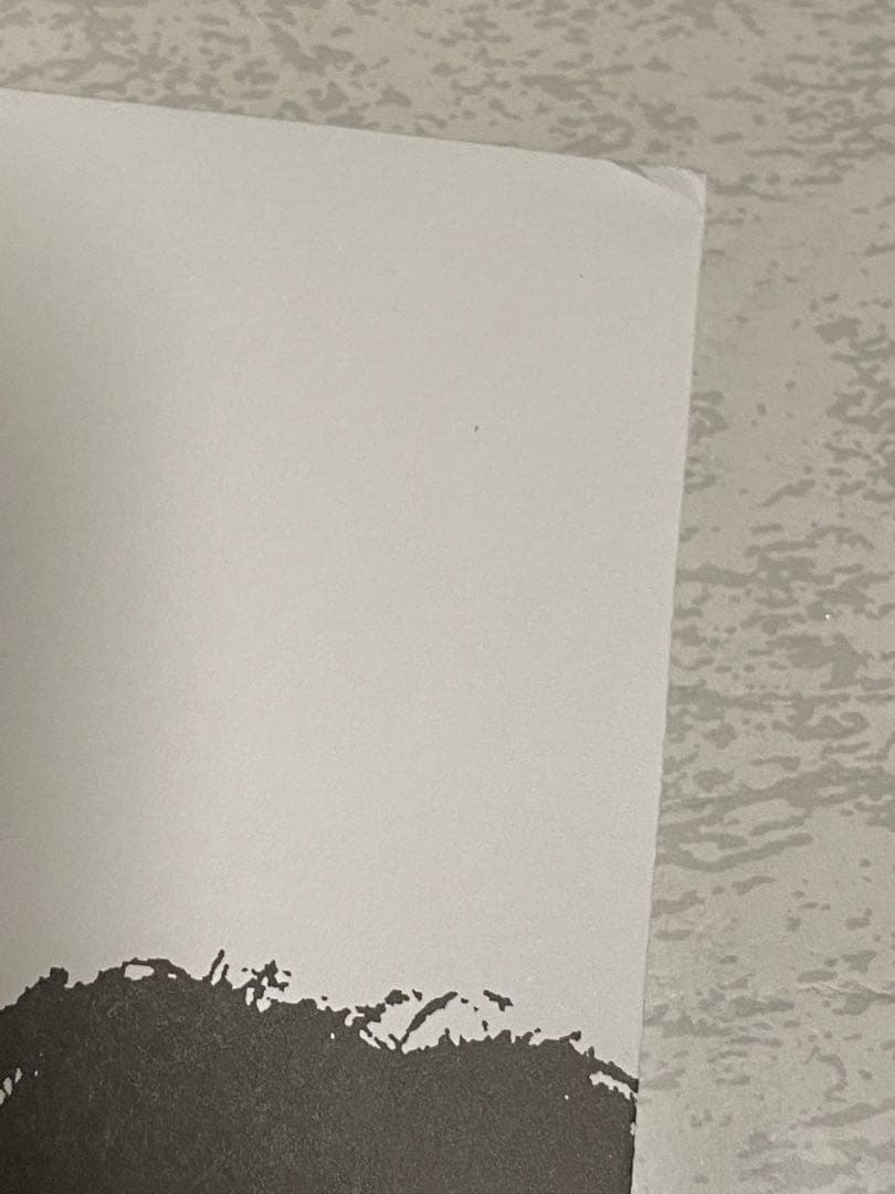 G.I.S.M. 海外限定ホワイト　レコードDETESTATION ギズム