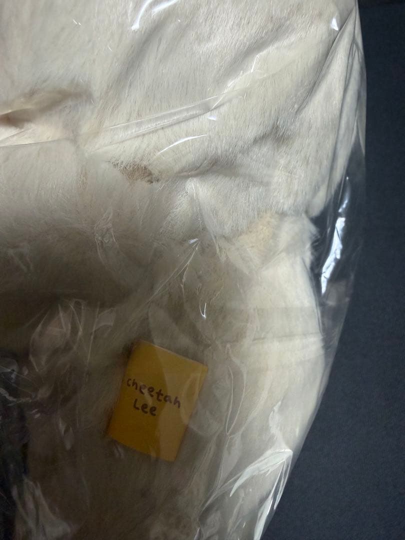 nct マーク マスタニム ぬいぐるみ チーターリー 20cm 치타리 마크