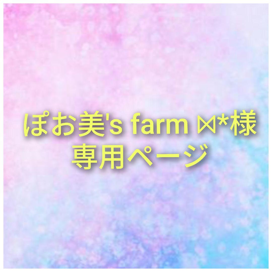 ぽお美's farm ⋈*ページ 176点まとめ売り