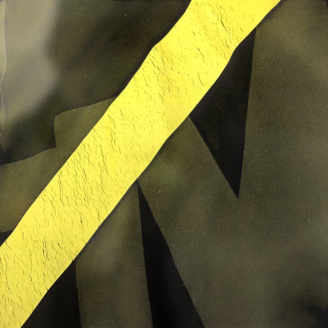 ボディコンバット　レスミルズ　レア商品