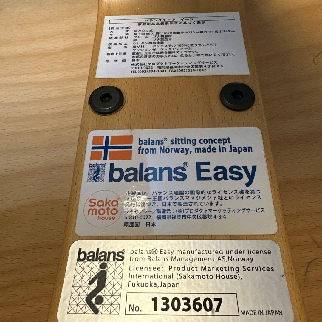 バランスチェア イージー　サカモトハウス