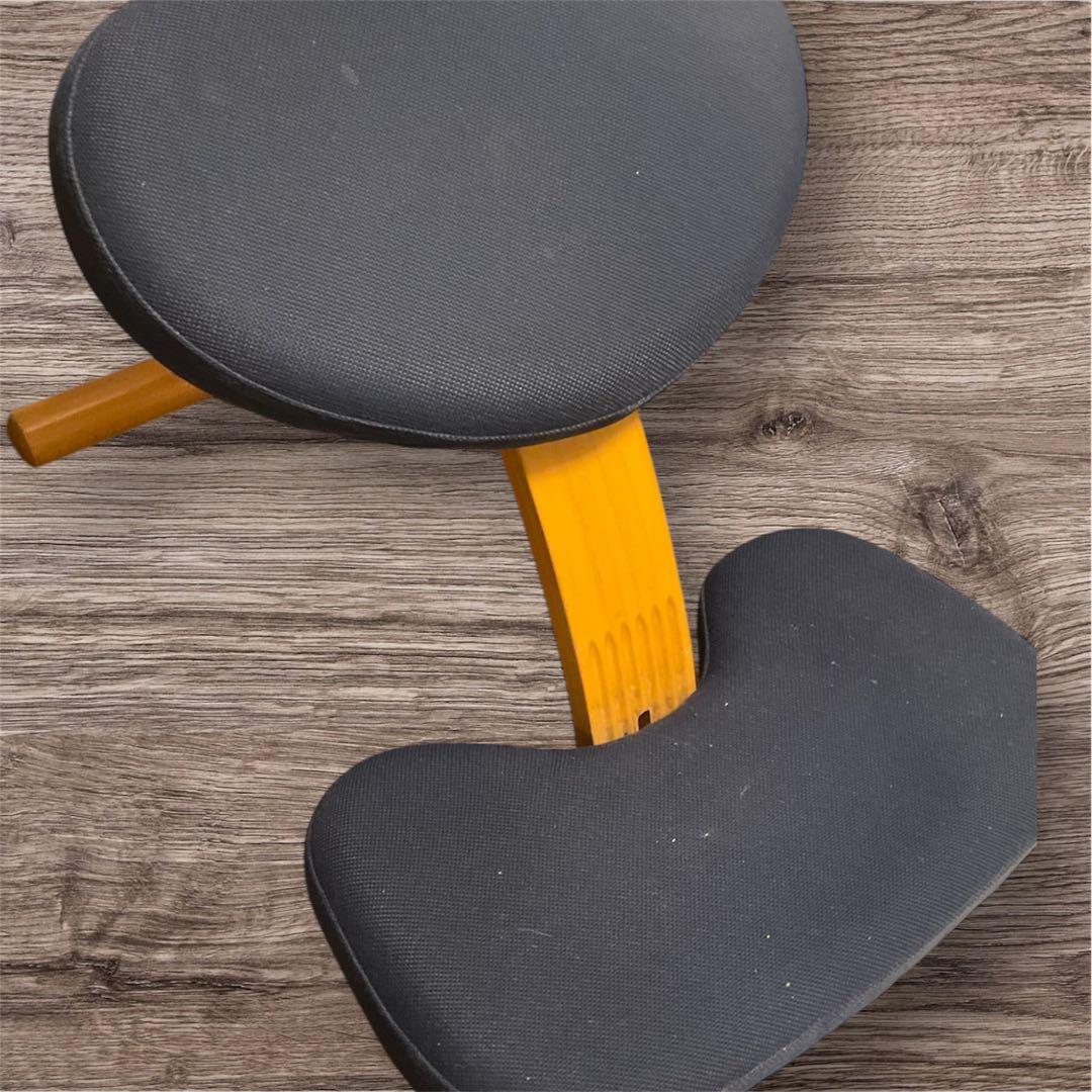 バランスチェア イージー　サカモトハウス