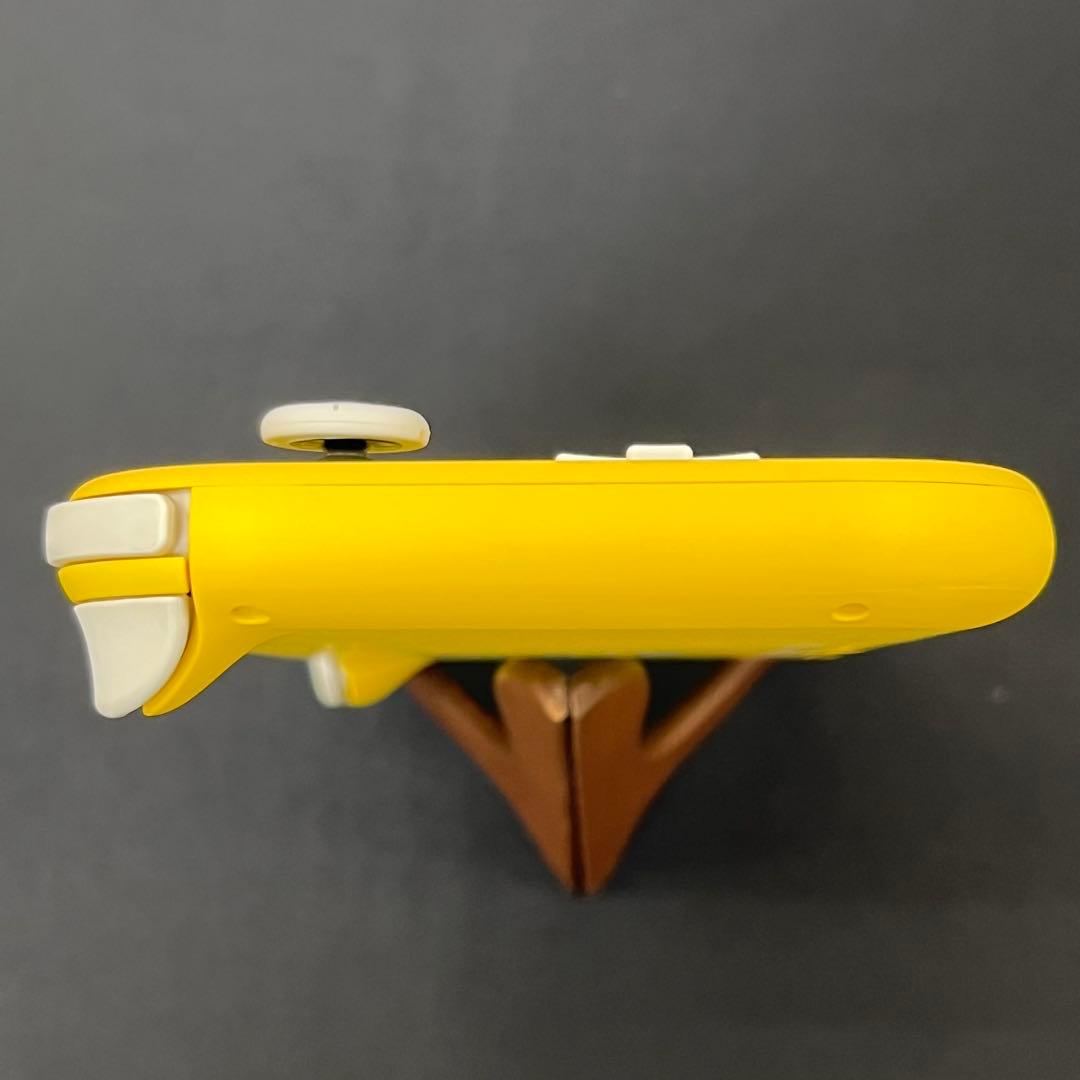 【基本動作確認済み】Nintendo Switch Lite　充電アダプタ付き