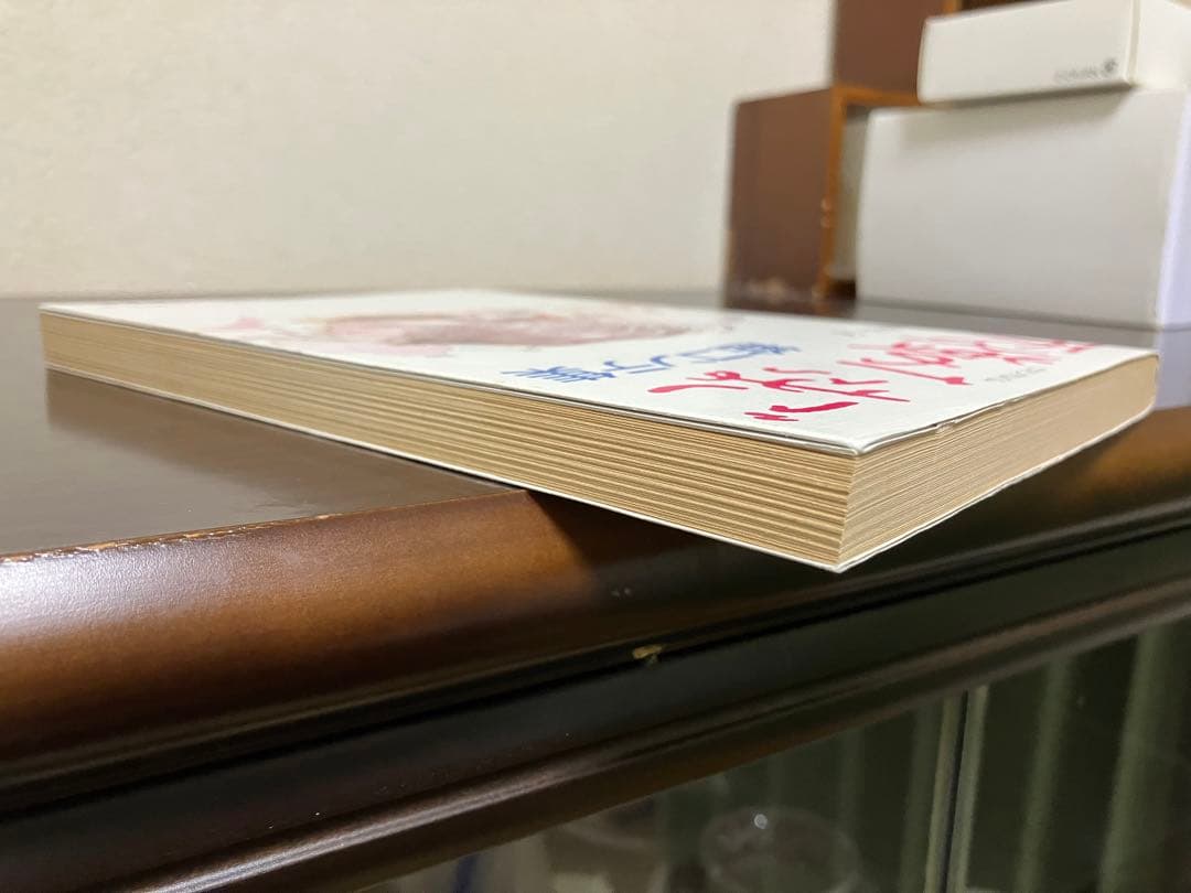 ロマンアルバム 天使のたまご 絵コンテ集 押井守　天野喜孝