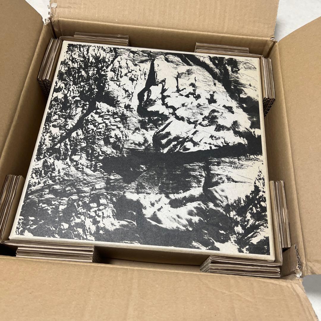 洋書 Michel Comte / Light Special Edition