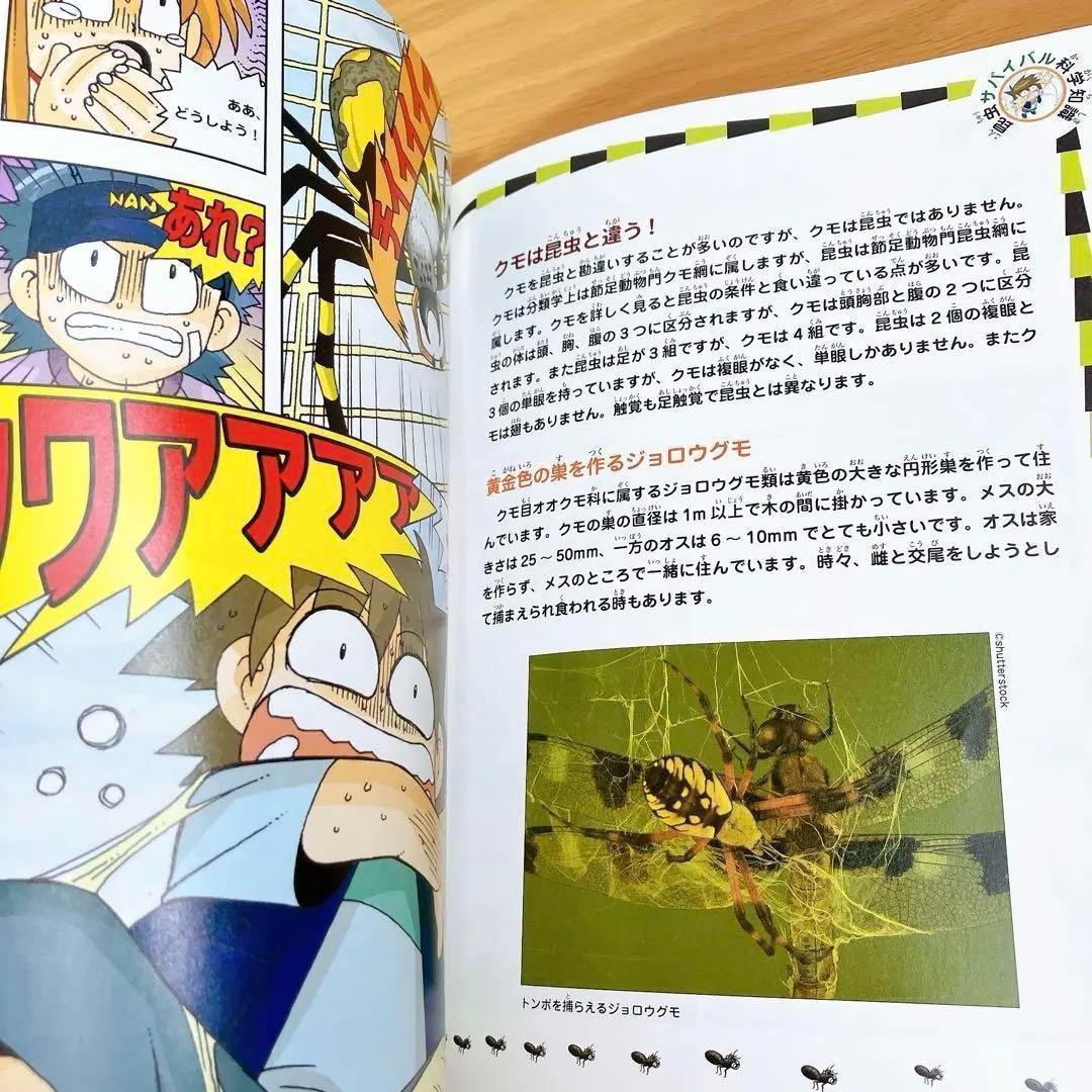 サバイバルシリーズ　25冊セット　かがくる