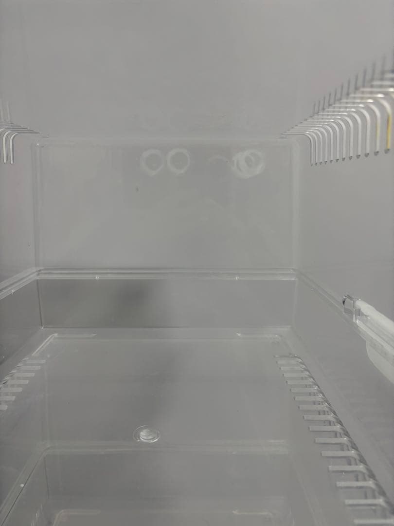 レプティギア365 5個