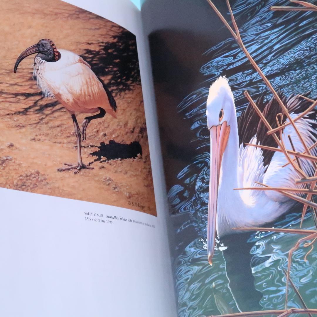 特別価格！ Feather and Brush：オーストラリア鳥類芸術300年