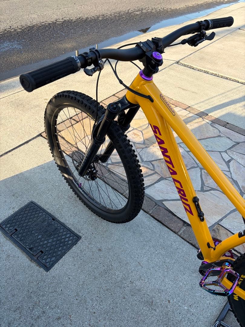 ① SANTA CRUZ chameleon カメレオン　サンタクルーズ　極美品