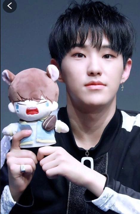 セブチ ホシ ぬいぐるみ 20cm