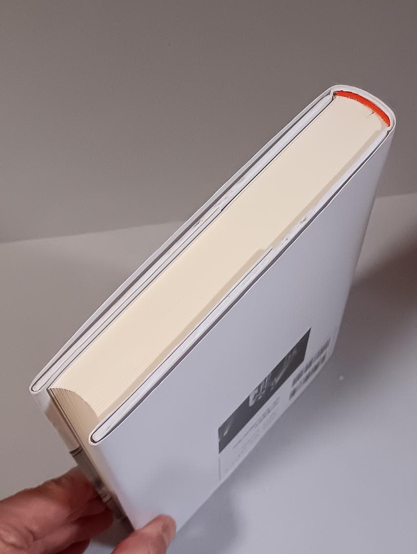 キャプテン・ビーフハート　マイク・バーンズ著