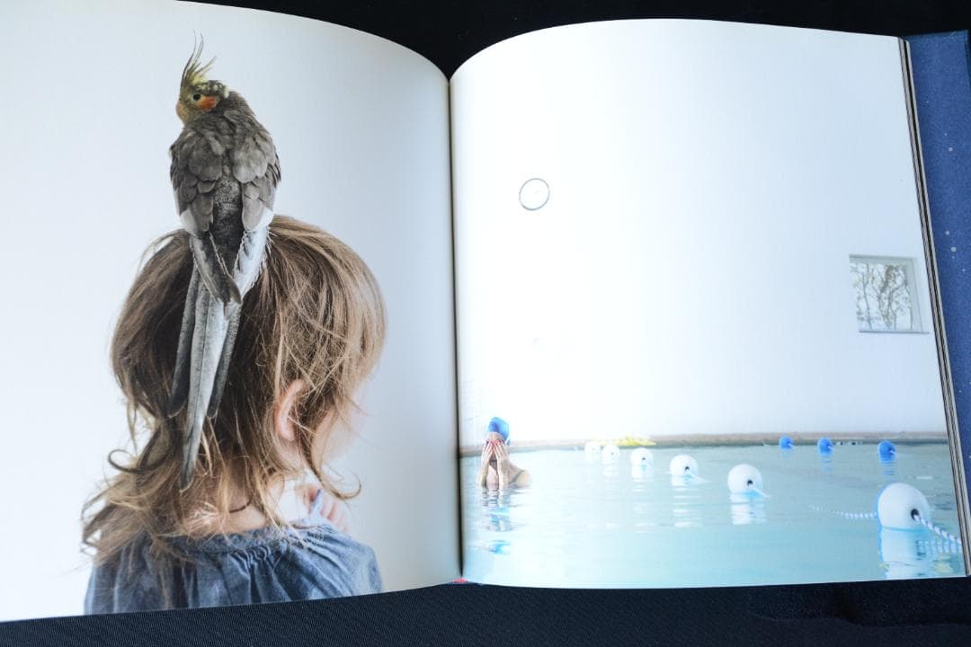 【 Cig Harvey ：Gardening at Night】新品・美本