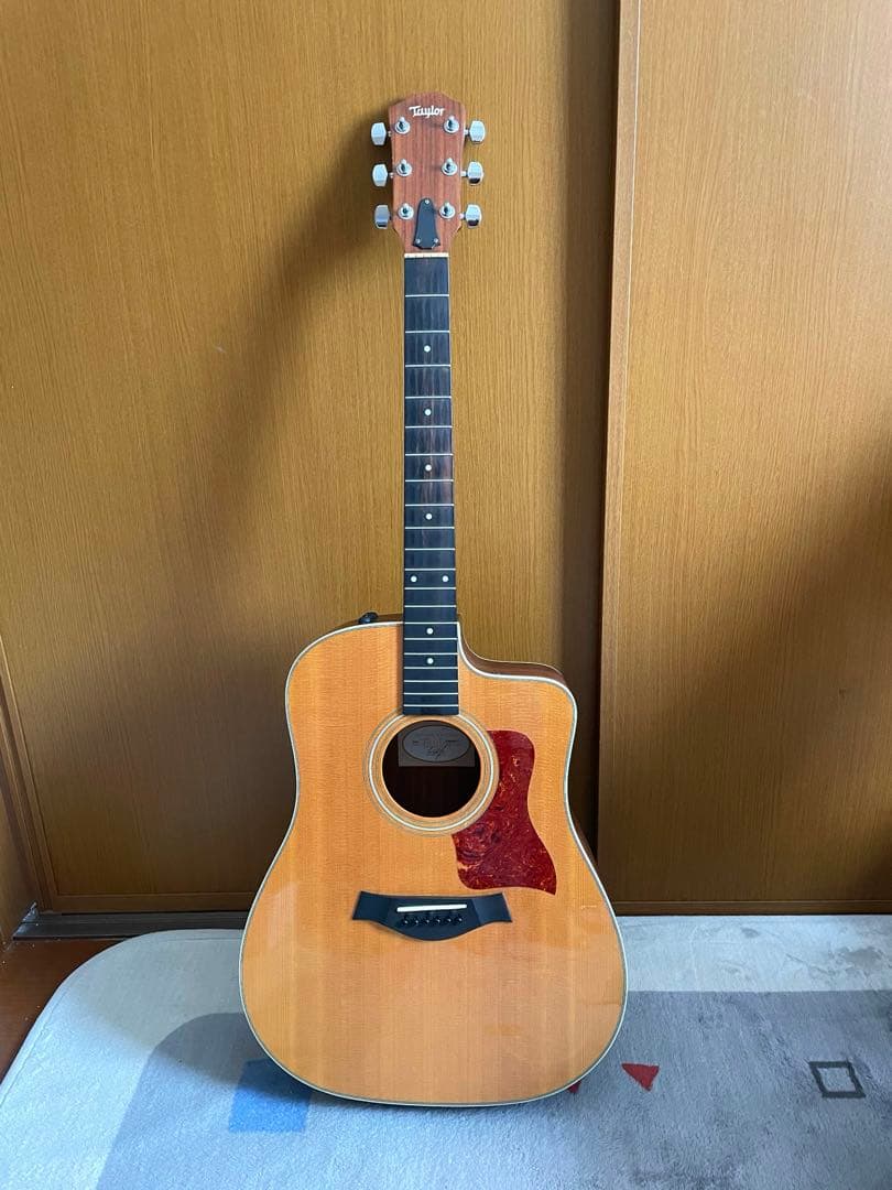 Taylor 210ce ソフトハードケース・新品弦付き