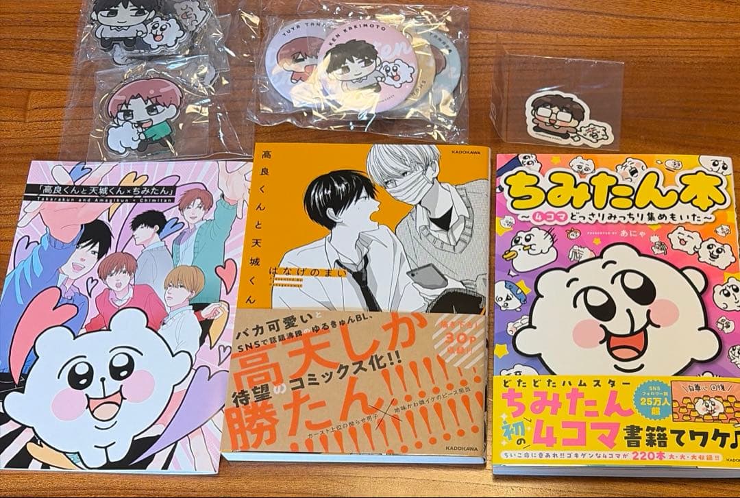 高良くんと天城くん ちみたん本