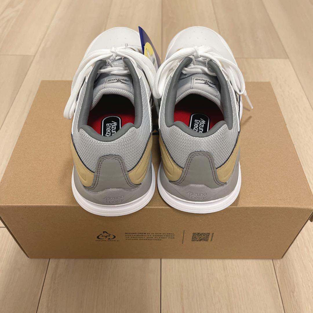 【新品未使用】安全靴MIZUNO HWII11L　F1GA240001