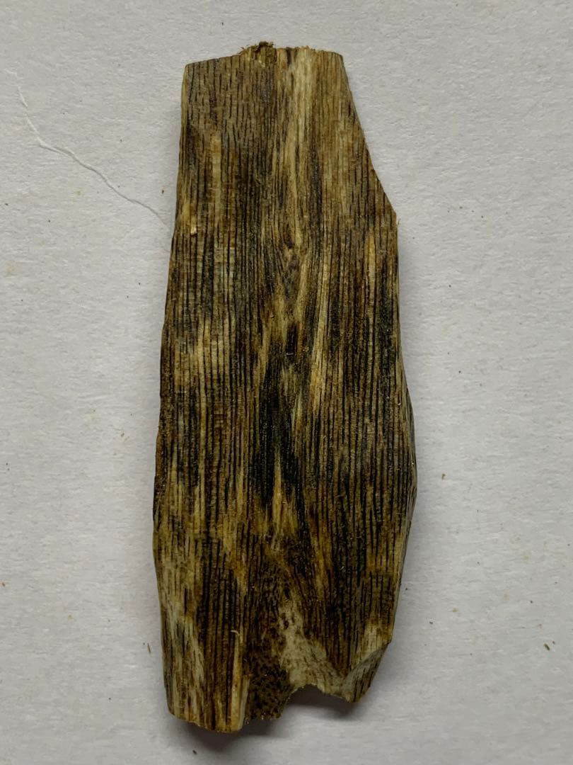 極上緑油伽羅 沈香原木 香木 重さ:5.8g (高ランク本物証明)