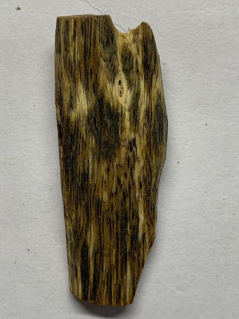 極上緑油伽羅 沈香原木 香木 重さ:5.8g (高ランク本物証明)