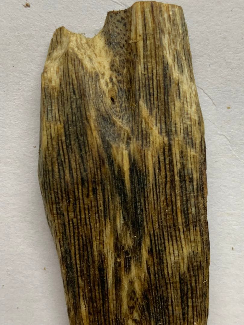 極上緑油伽羅 沈香原木 香木 重さ:5.8g (高ランク本物証明)