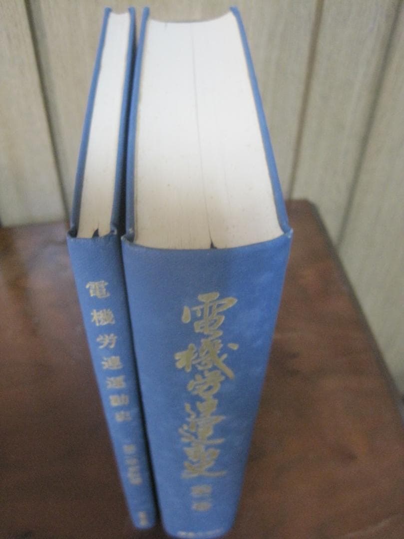 電機労連運動史　第2巻　資料編付