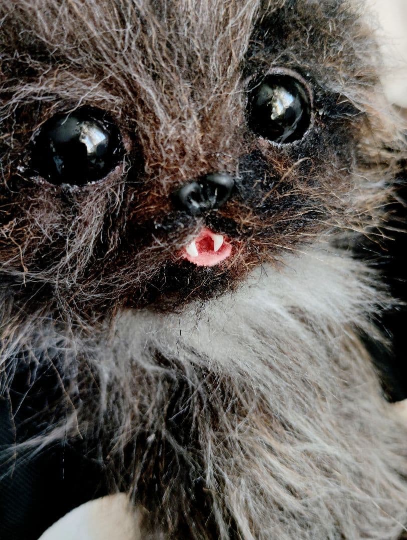 a様オーダー❤ユキヒョウ♡コウモリ♡子猫ちゃん♡アートドール♡ぬいぐるみ♡