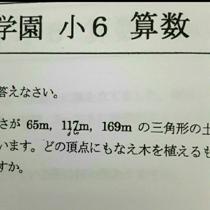 浜学園　解答用紙付　小６ 2024年度　Vクラス　復習テスト　３科　国語算数理科
