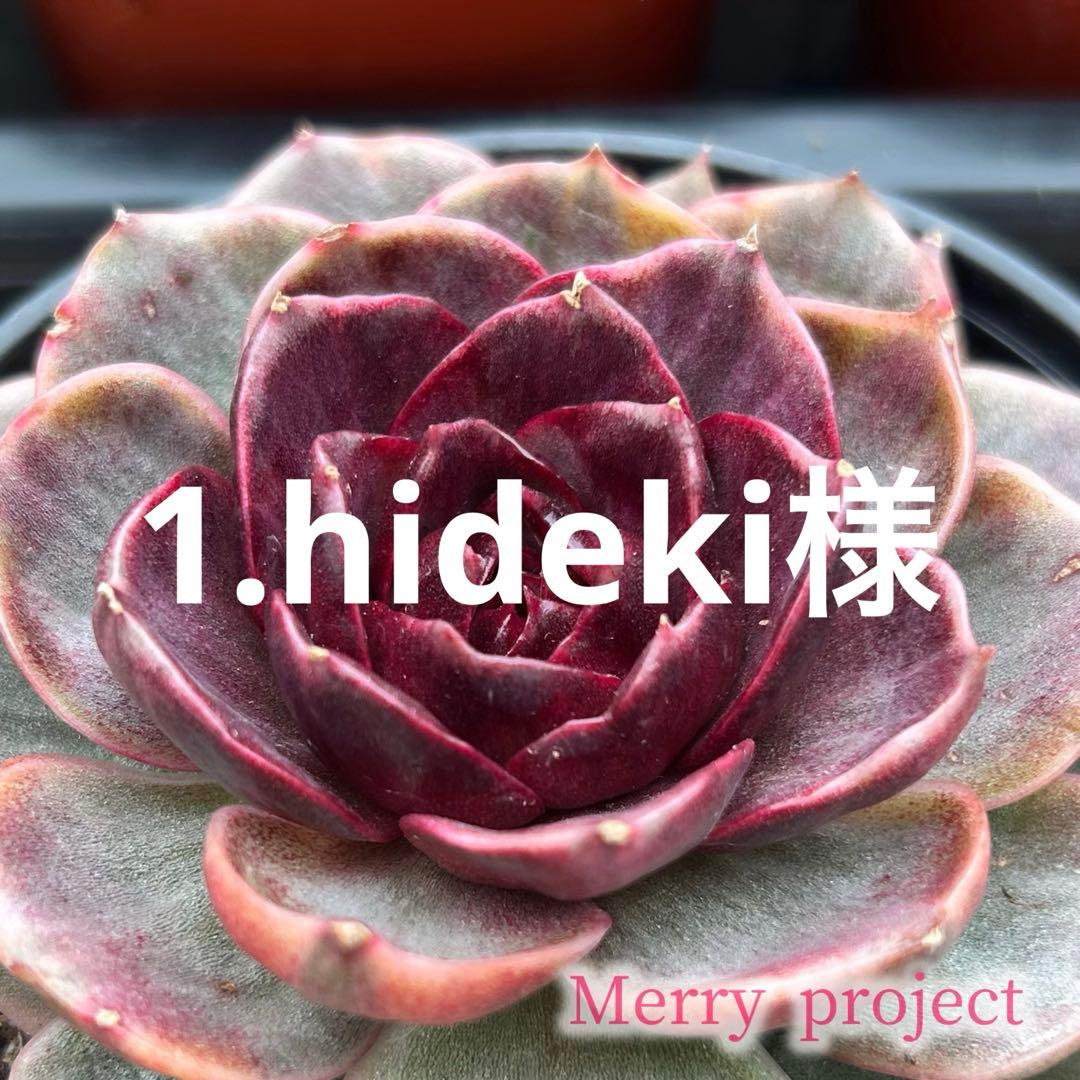 1.hideki様