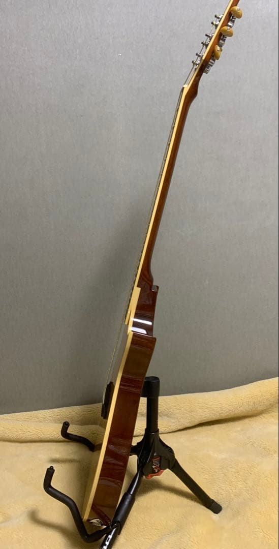 LTD (ESP) TL-6 ソリッドエレアコ