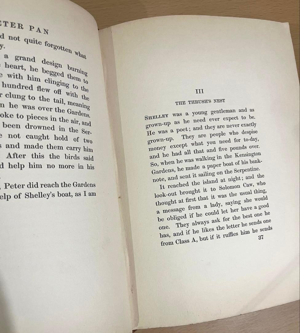 No.304希少 古書 アンティーク 洋書 アーサー·ラッカム ピーター・パン