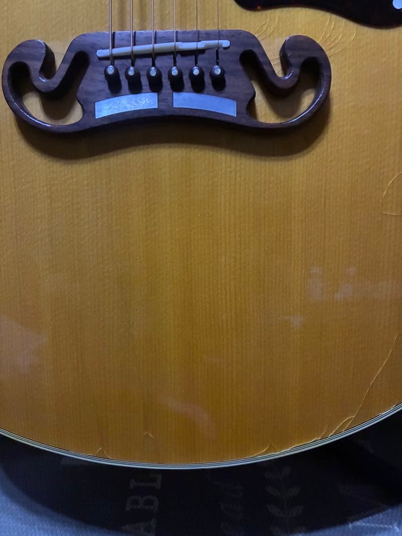 ギブソンJ 200 100周年限定モデル