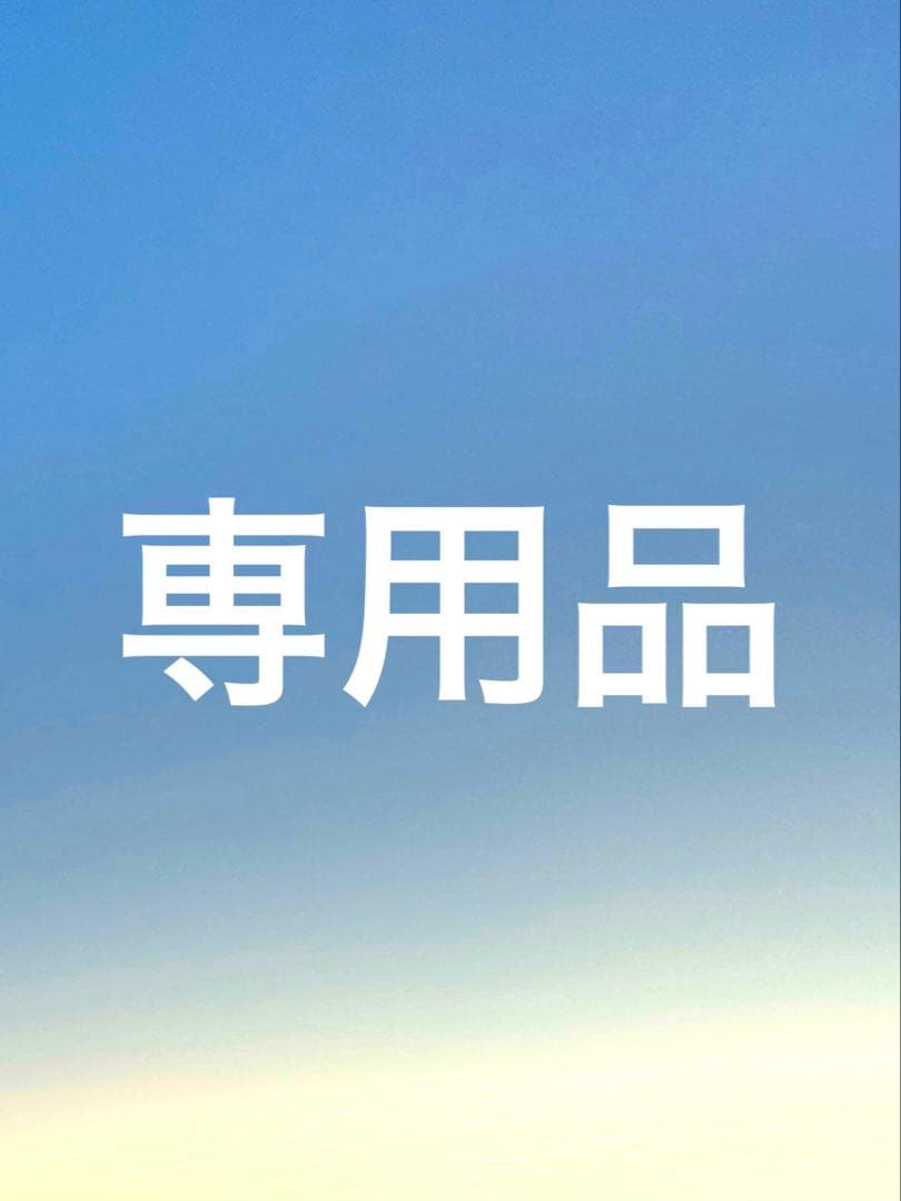 専用品　標本おまとめ 04161