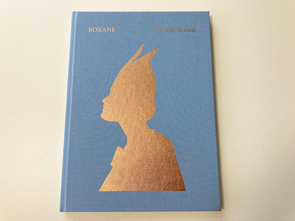 アート・デザイン・音楽 Viviane Sassen / ROXANE