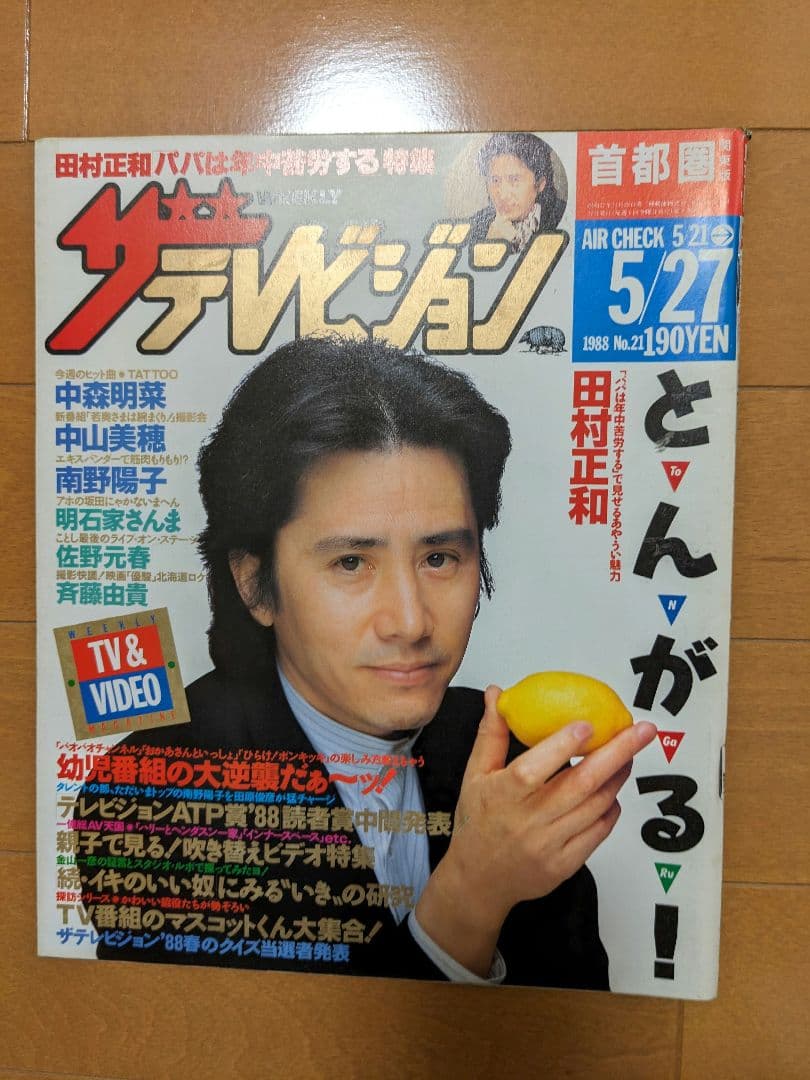 希少品ザ・テレビジョン 田村正和