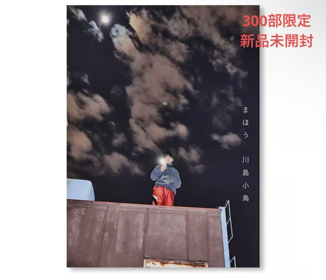 【新品未開封】川島小鳥 x 祖父江慎＆脇田あすかZINE \