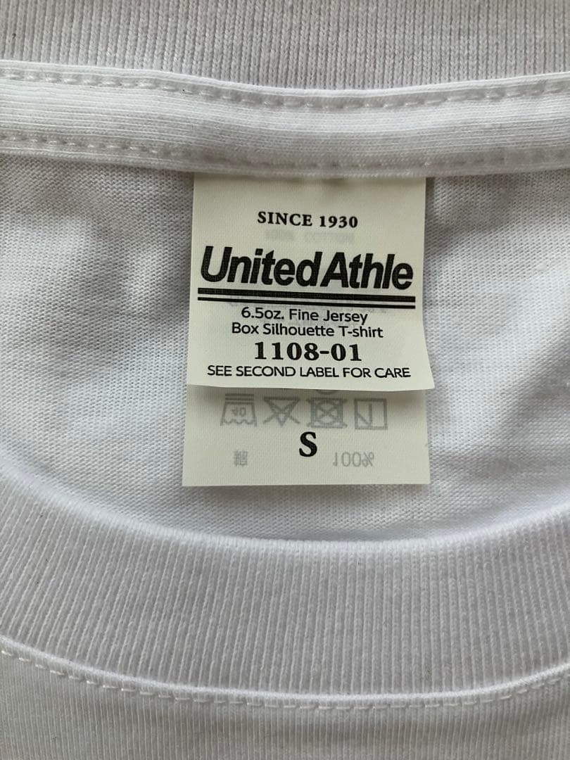 電気グルーヴ スチャダラパー　TシャツSサイズ　チャンピオンカーニバル