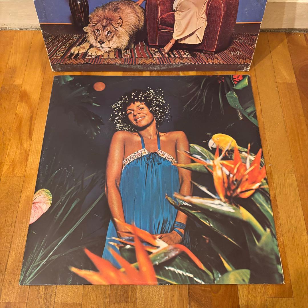 レコード Minnie Riperton レアグルーヴ ソウル ファンク ジャズ