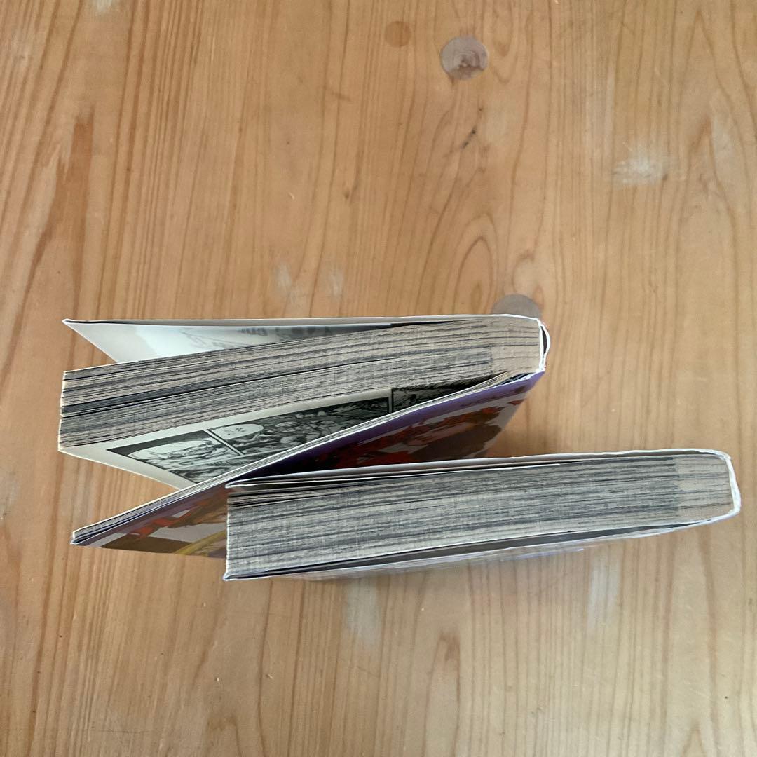 【超希少】　ルサルカは還らない 1、２巻　御厨さと美