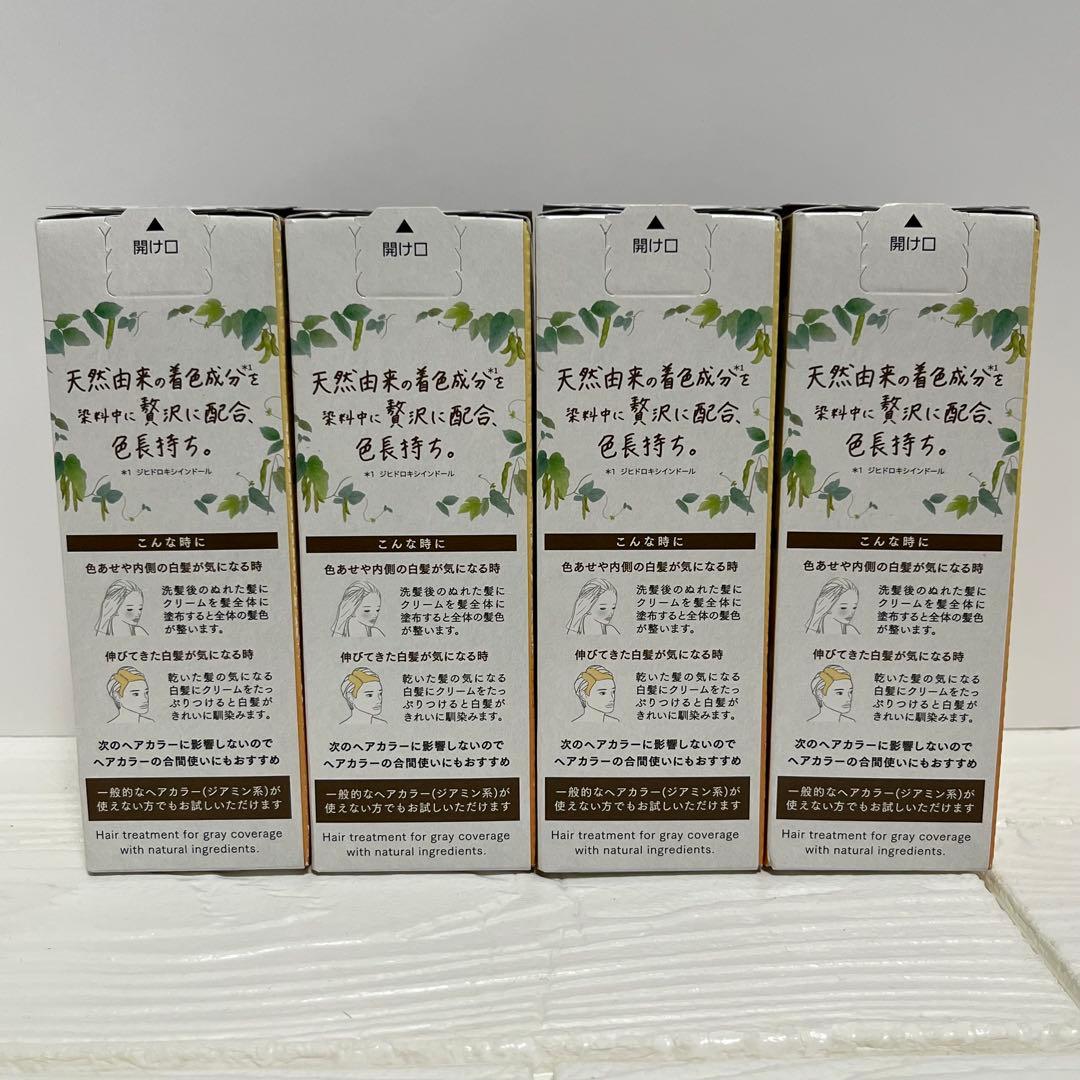 ブローネ　リライズ　ナチュリラ　白髪用カラートリートメント　ダークブラウン