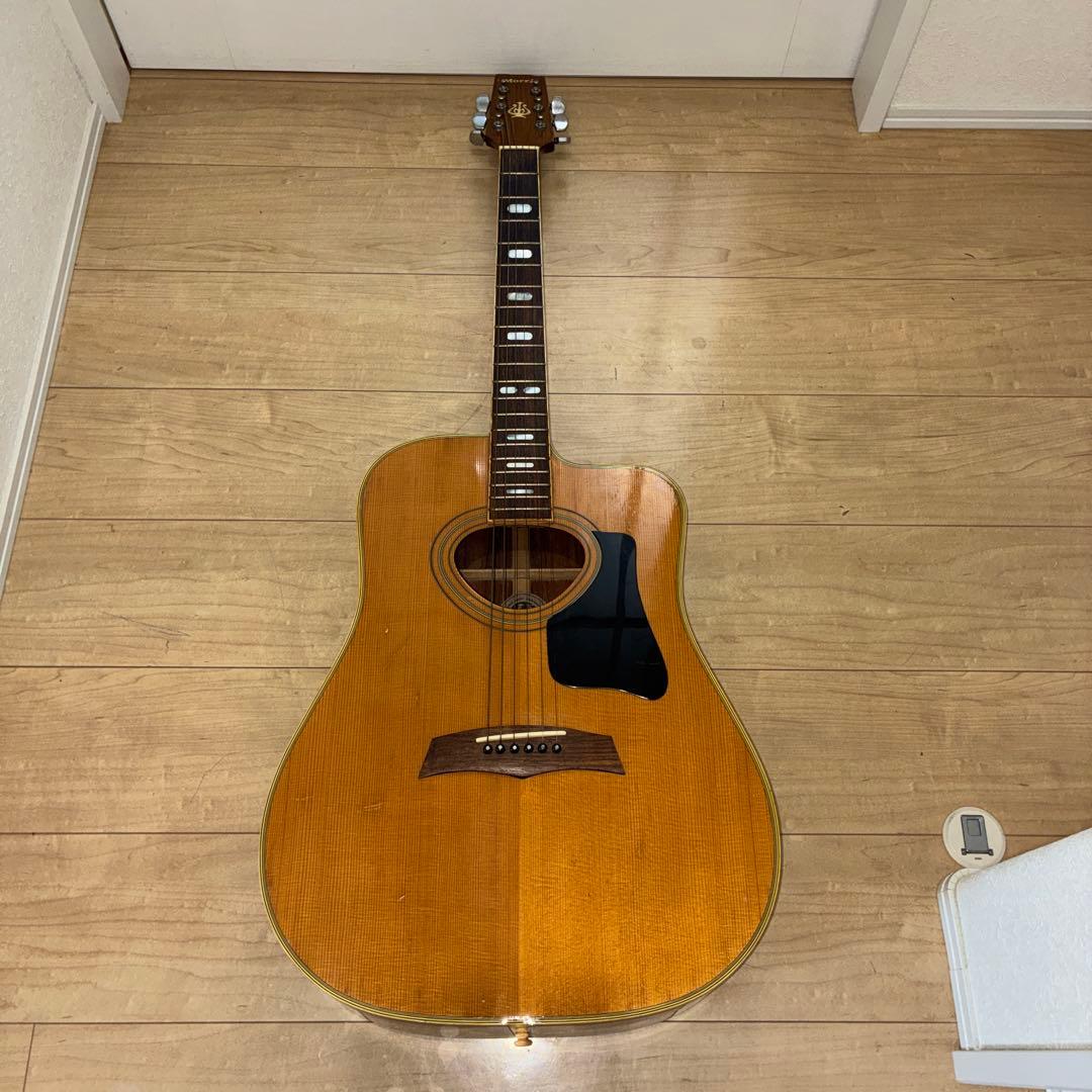 激レア！TF モーリス　MORRIS W-621R schallerペグです