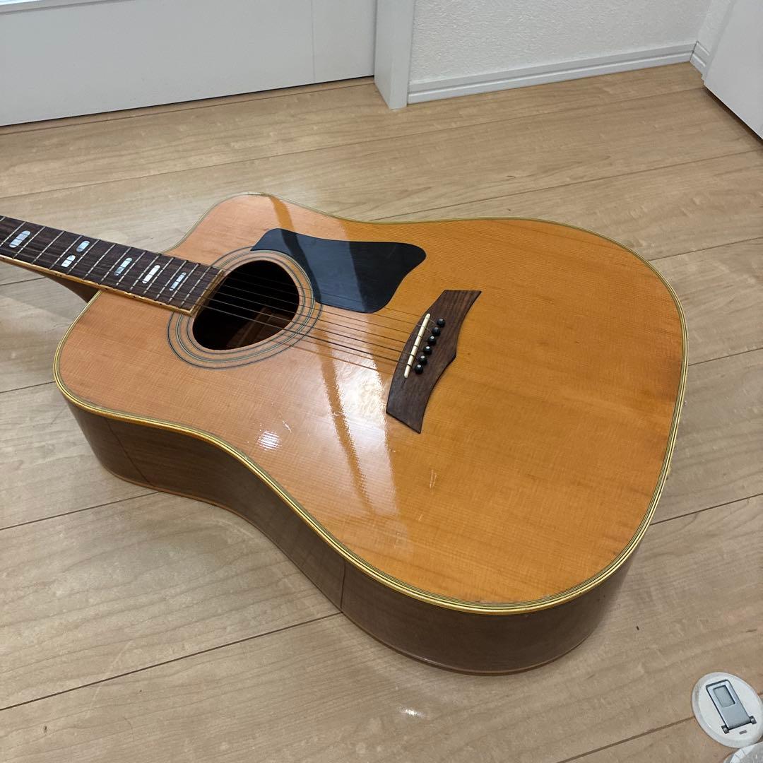激レア！TF モーリス　MORRIS W-621R schallerペグです