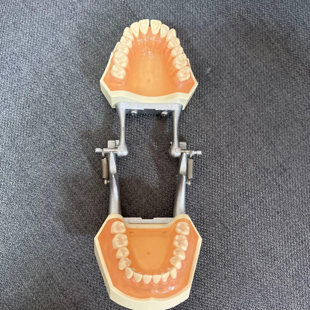 ニッシン　額模型