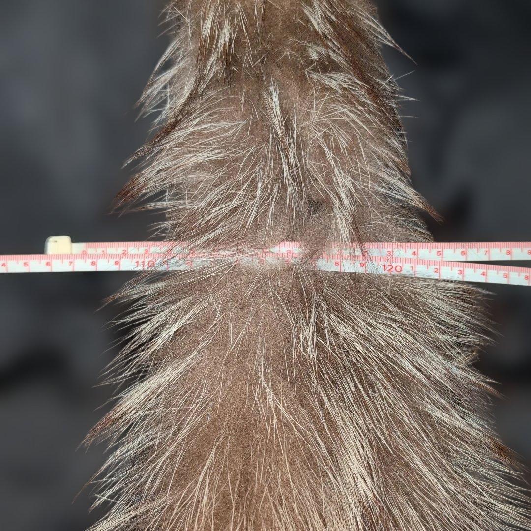 サマンサ品【銀サガ】シルバーFOX毛皮コート着丈80cmサイズ(L)