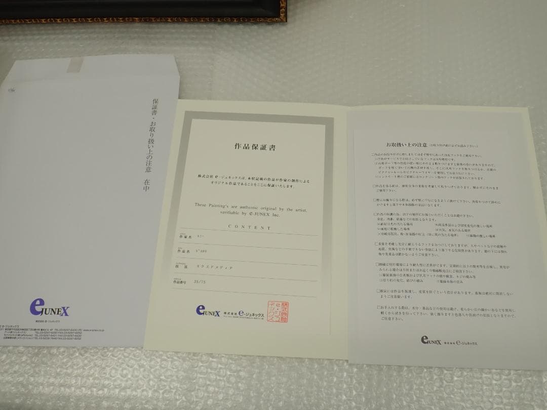 ⑧未使用・保証書付 Tony トニー「ゴスロリ」ミクスドメディア　アールビバン