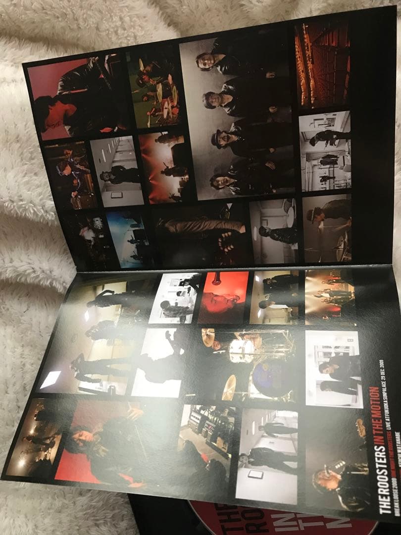 THE ROOSTERS IN THE MOTION DVD インザモーション
