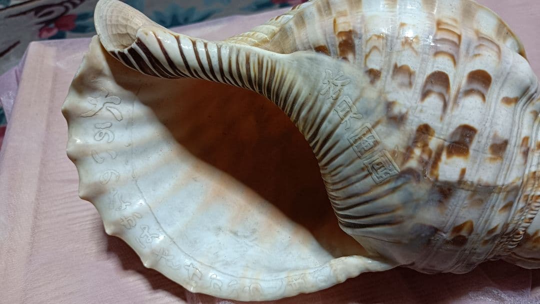 骨董ホラ貝、法螺貝　修行僧、山伏、魔除け　文字彫刻　美術品