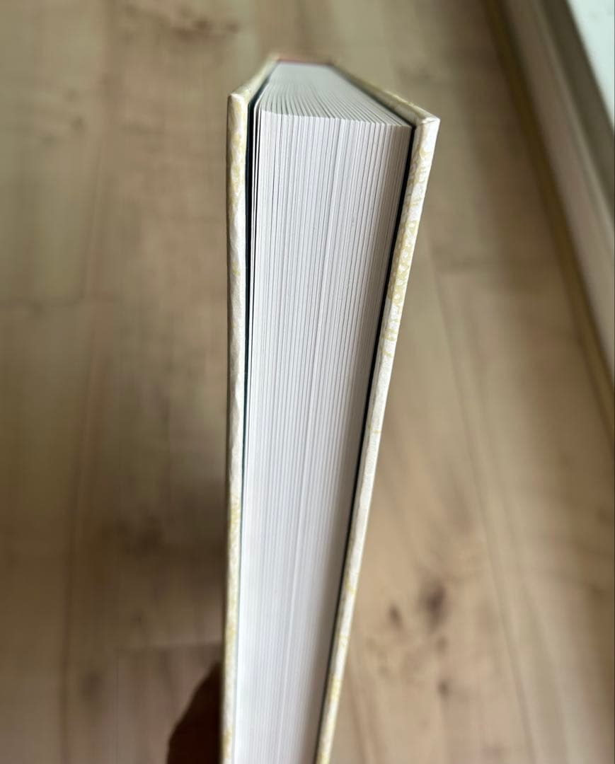 「童夢」限定5000部 大友克洋 豪華本