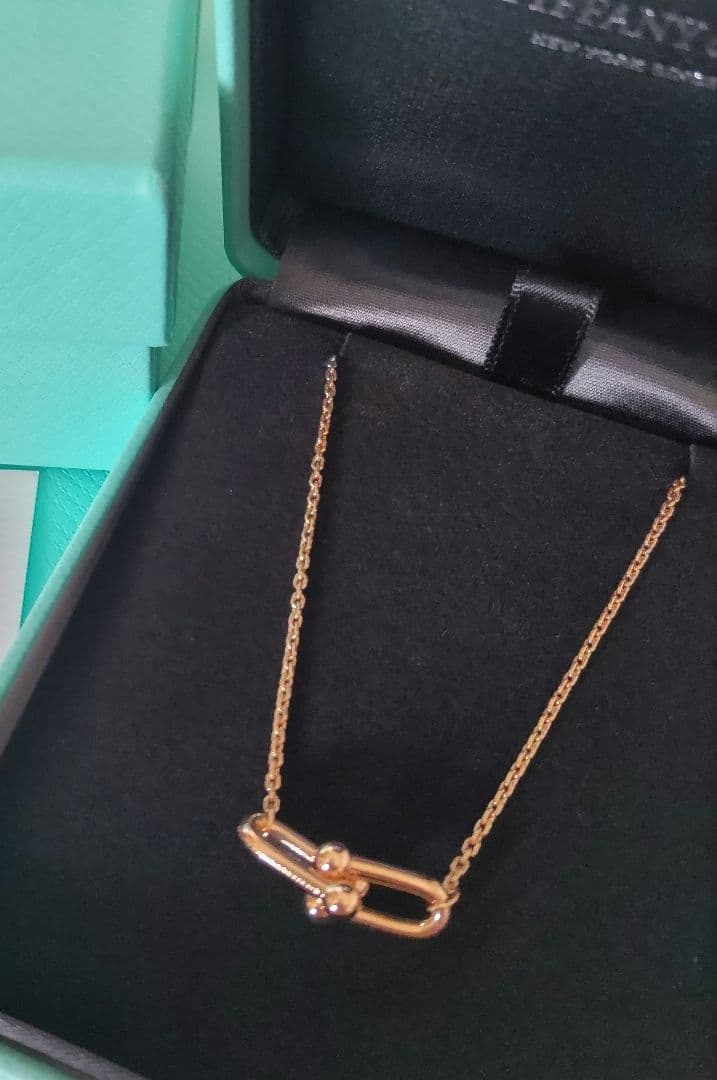 [新品未使用]39.6万ティファニーハードウェアスモールダブルリンクペンダント