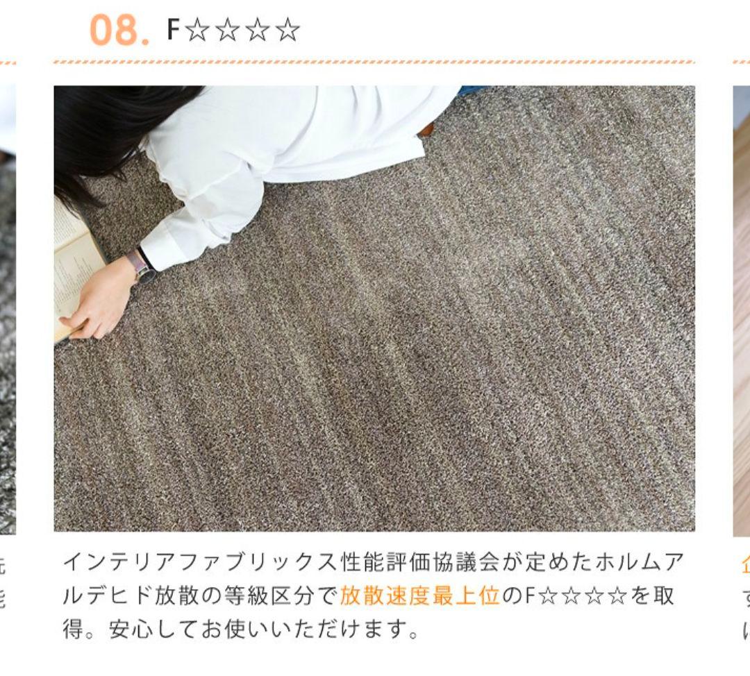 スミノエ ナイロンラグ リュストル 楕円形 140×200/防ダニ・防炎　高品質