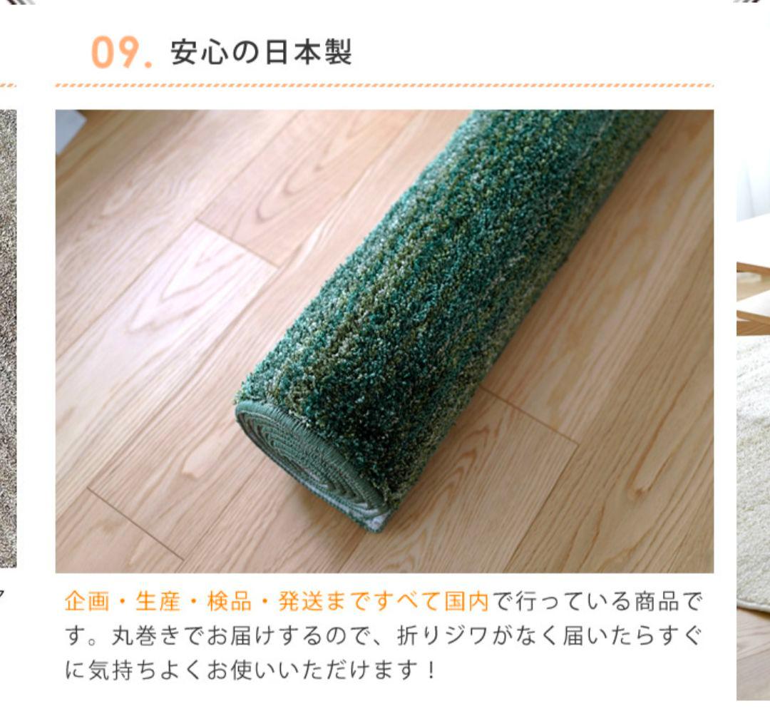 スミノエ ナイロンラグ リュストル 楕円形 140×200/防ダニ・防炎　高品質