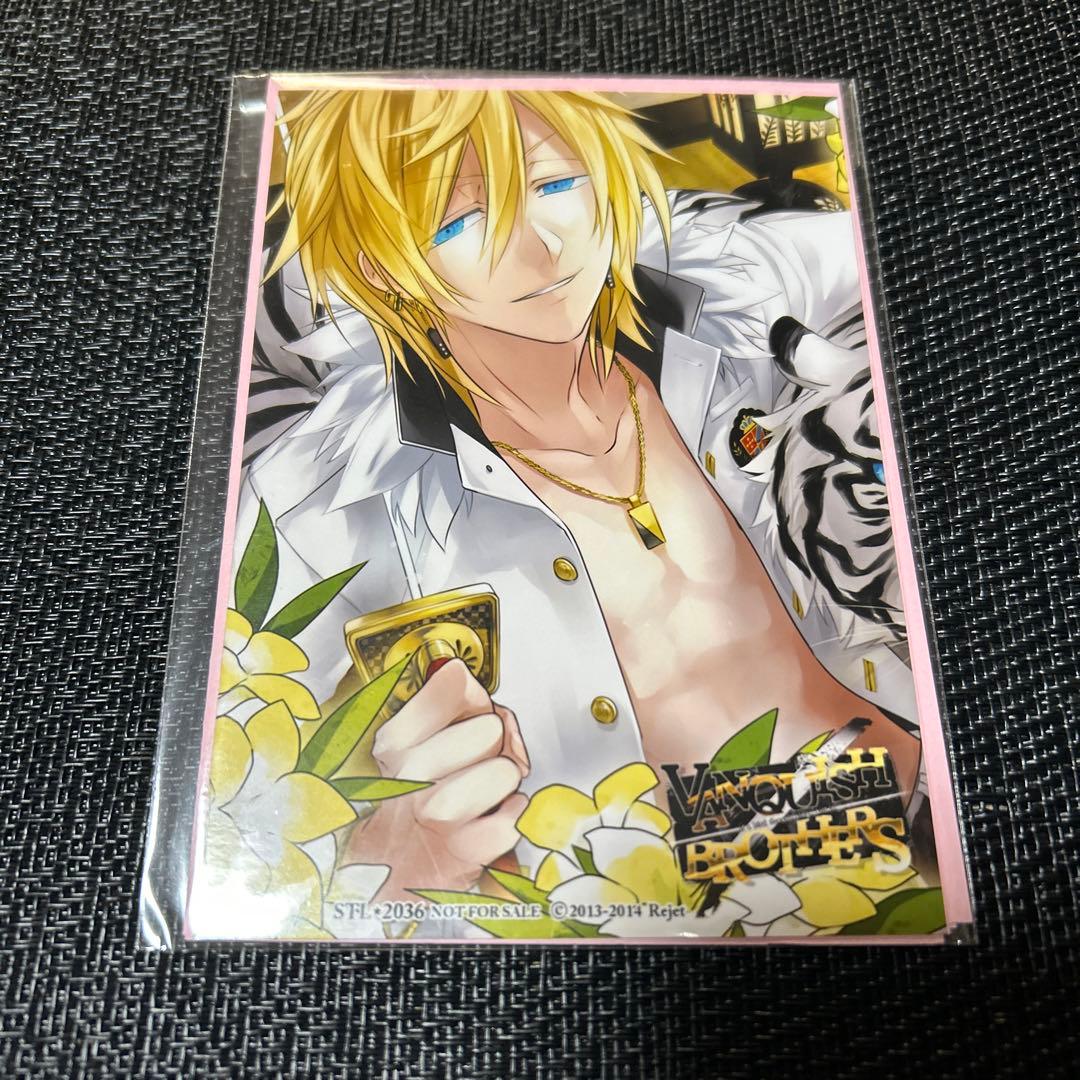 VANQUISH BROTHERS シンゲンステラワースSSペーパー+ブロマイド